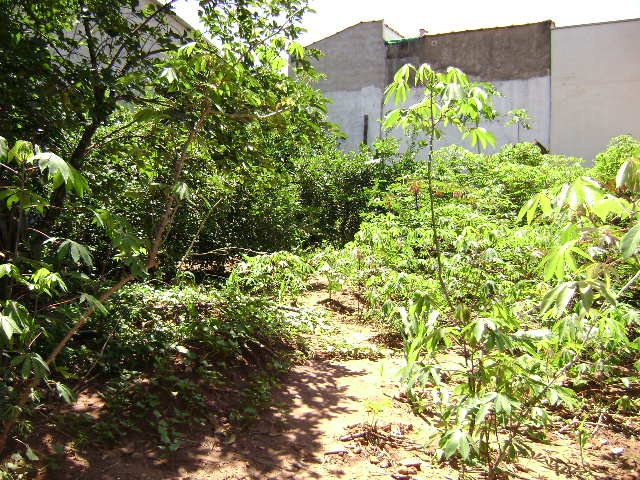 Casa à Aluguel no bairro Distrito de Potunduva em Jaú imagem 7