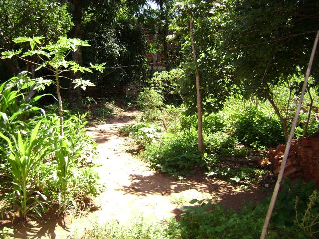 Casa à Aluguel no bairro Distrito de Potunduva em Jaú imagem 5