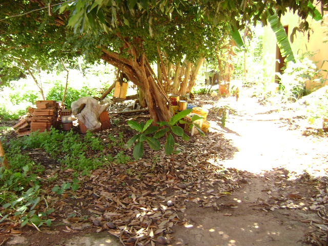 Casa à Aluguel no bairro Distrito de Potunduva em Jaú imagem 4