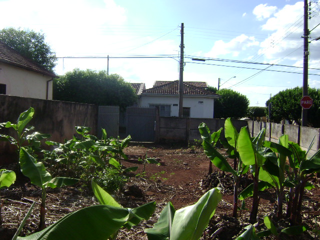 Terreno à Aluguel no bairro Vila Sampaio em Jaú imagem 3