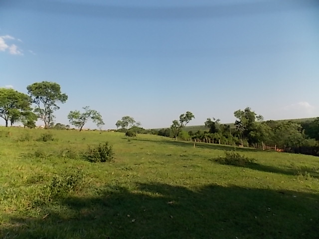 Terreno à Venda no bairro Distrito de Potunduva em Jaú imagem 6