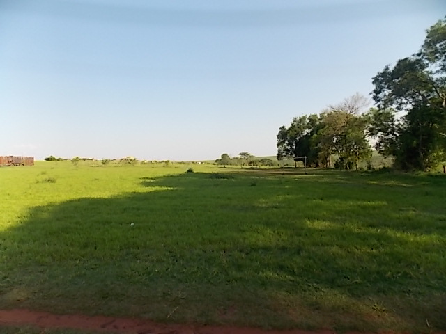 Terreno à Venda no bairro Distrito de Potunduva em Jaú imagem 17