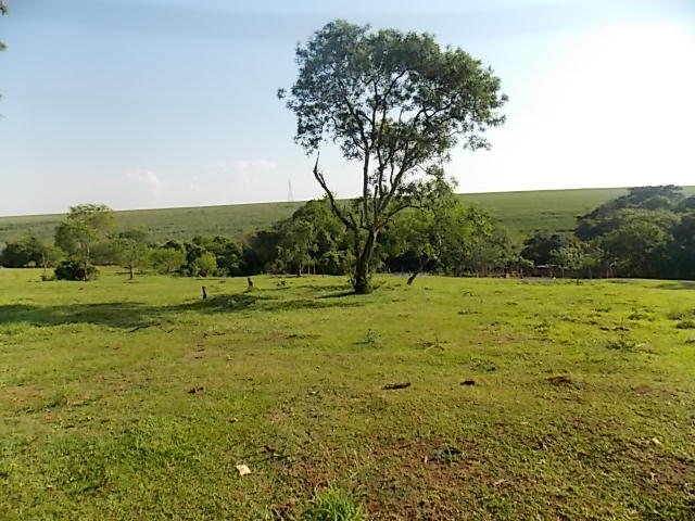 Terreno à Venda no bairro Distrito de Potunduva em Jaú imagem 8