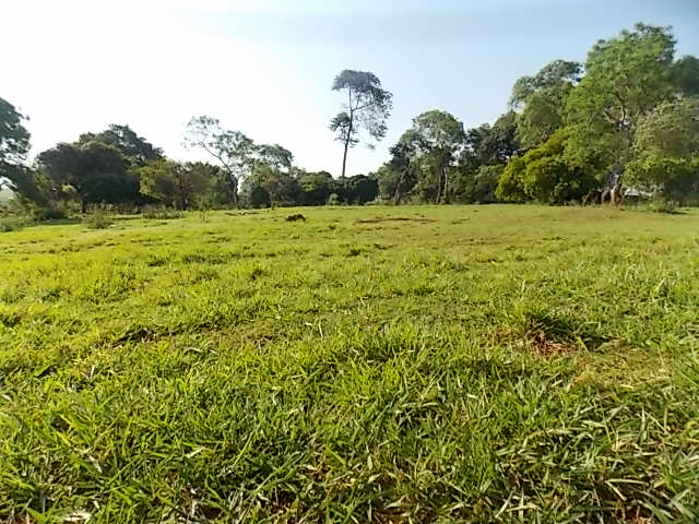 Terreno à Venda no bairro Distrito de Potunduva em Jaú imagem 12