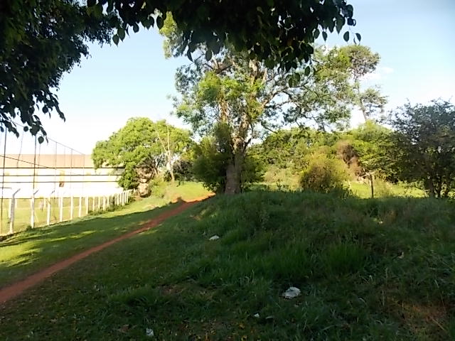 Terreno à Venda no bairro Distrito de Potunduva em Jaú imagem 5
