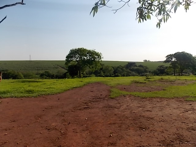 Terreno à Venda no bairro Distrito de Potunduva em Jaú imagem 13