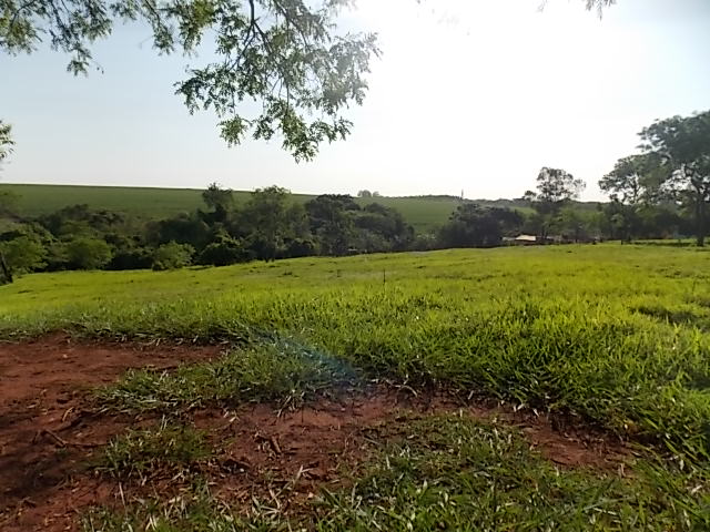 Terreno à Venda no bairro Distrito de Potunduva em Jaú imagem 11