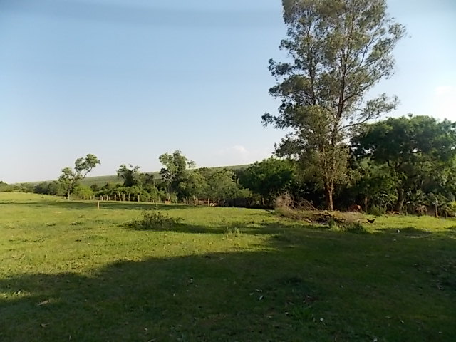 Terreno à Venda no bairro Distrito de Potunduva em Jaú imagem 7