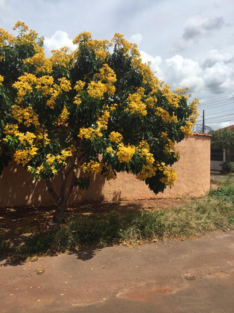 Casa à Aluguel no bairro Chácara Ferreira Dias em Jaú imagem 1