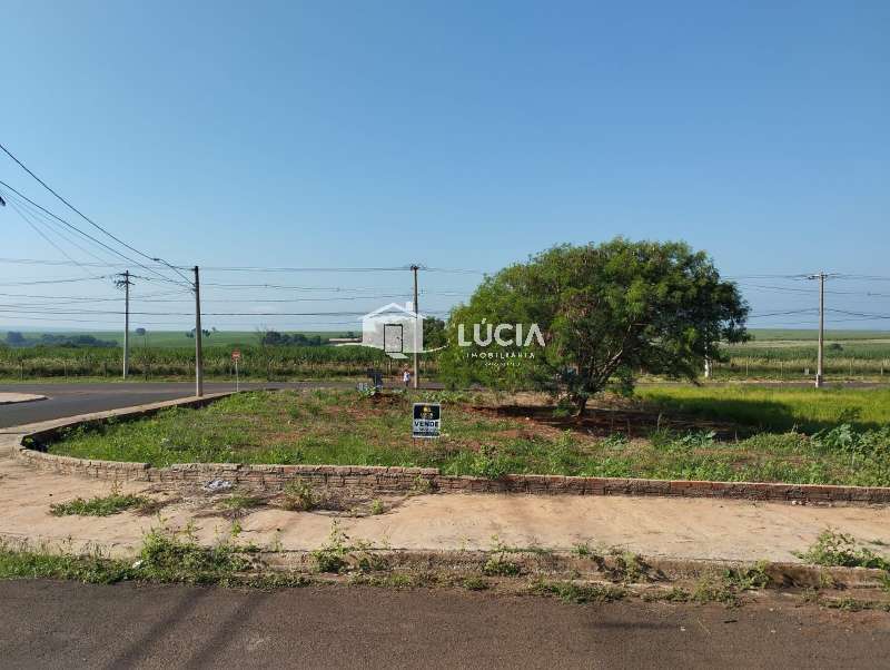 Terreno à Venda no bairro Distrito de Potunduva em Jaú imagem 5
