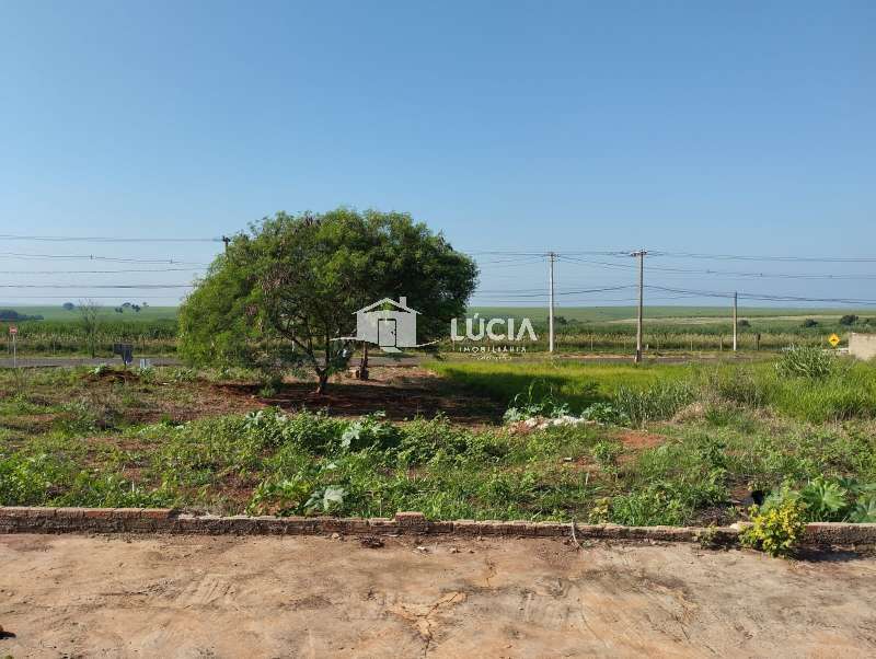 Terreno à Venda no bairro Distrito de Potunduva em Jaú imagem 6