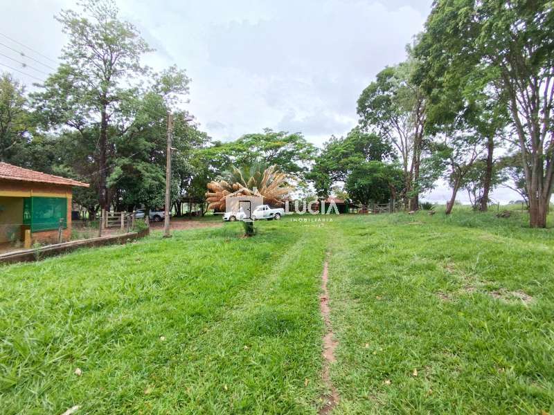 Sítio à Venda no bairro Rodovia Jaú - Brotas em Jaú imagem 6