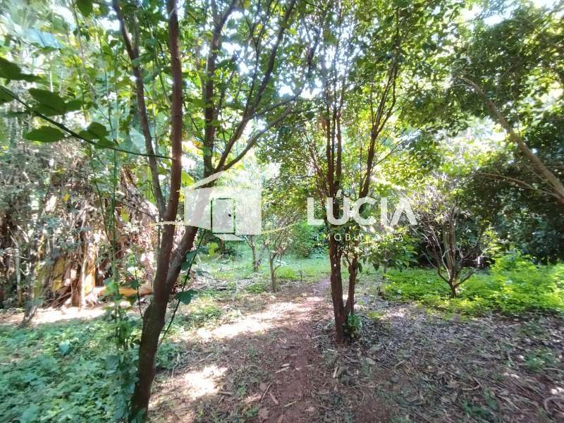 Chácara à Venda no bairro 1ª Zona Industrial em Jaú imagem 31