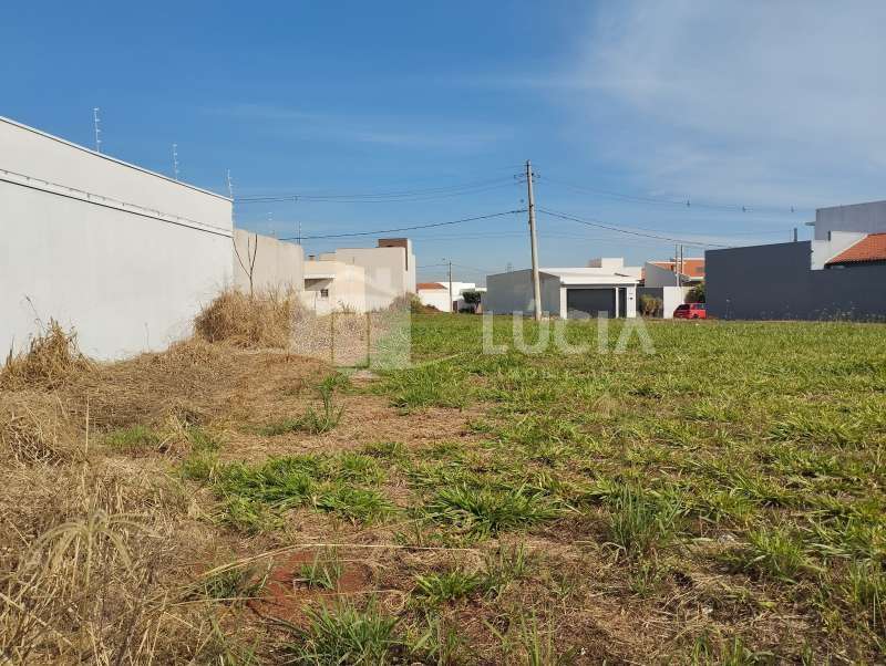 Terreno à Venda no bairro Jardim Yang III em Bariri imagem 1