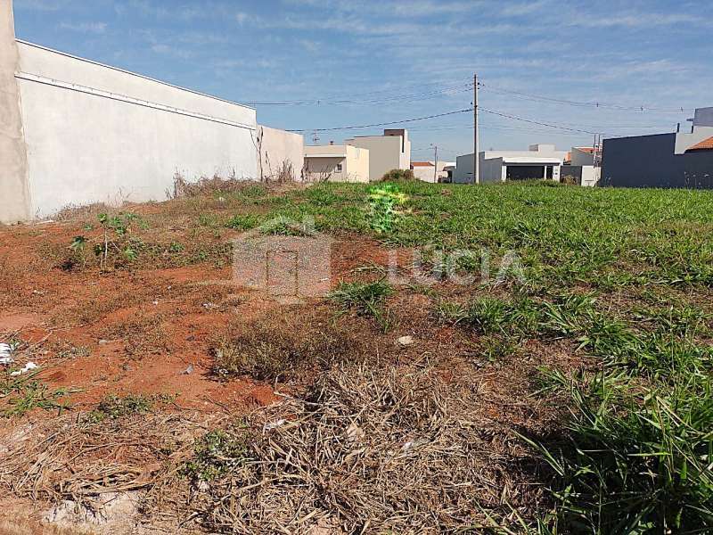 Terreno à Venda no bairro Jardim Yang III em Bariri imagem 1