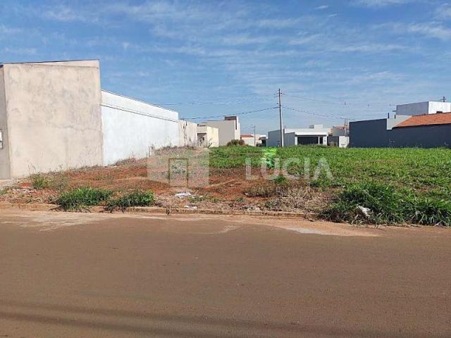 Terreno Venda Jardim Yang III em Bariri