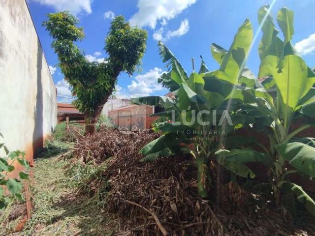 Terreno Venda Jardim Nova Jaú em Jaú