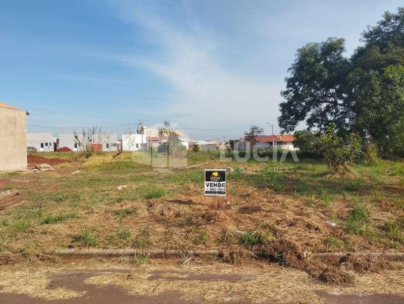 Terreno à Venda no bairro Residencial Paulina em Bariri imagem 0