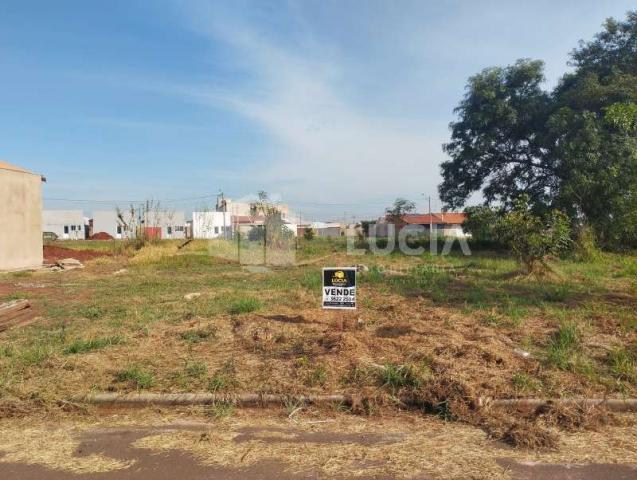 Terreno Venda Residencial Paulina em Bariri
