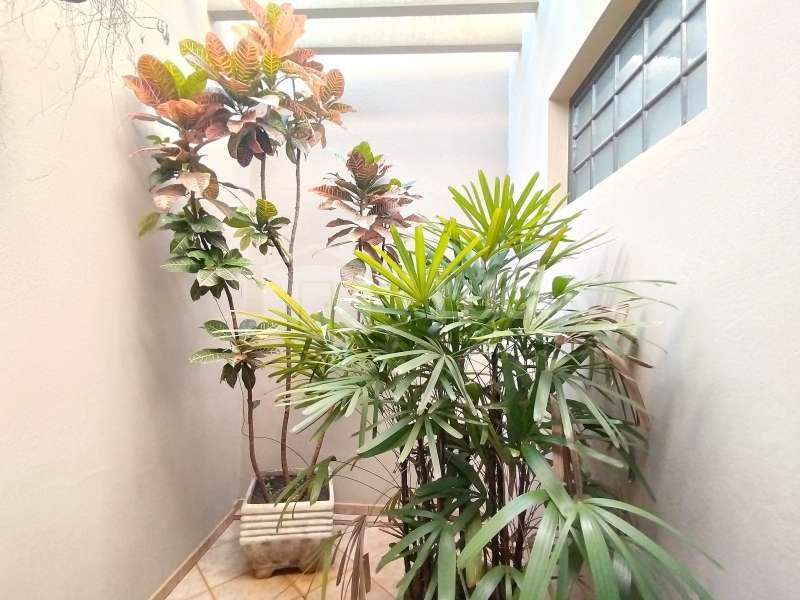 Casa à Venda no bairro Jardim Campos Prado em Jaú imagem 5